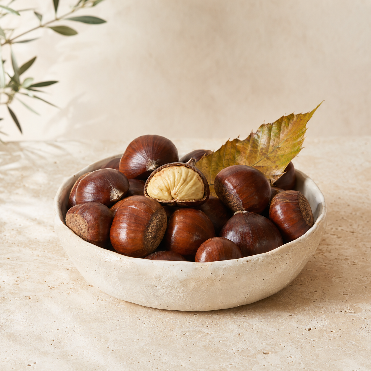 Glossy Aydın chestnuts